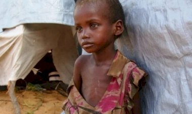 Nijerya'da her 8 çocuktan biri 5 yaşından önce ölüyor