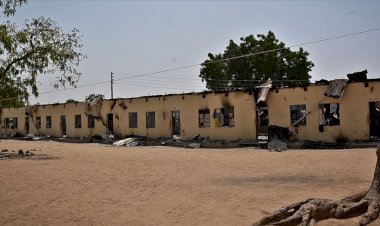 Nijerya’nın eğitim meselesi ve işkence iddiaları