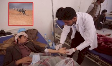 Yemen'de dang humması ve malarya can alıyor: 60 ölü