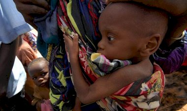 ILO: Fakir ülkelerde çocukların yüzde 8.5'i sosyal koruma altında