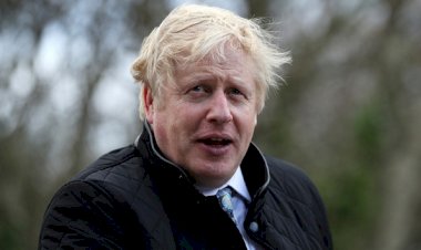 İngiltere Başbakanı Johnson, partisindeki İslamofobi için özür diledi