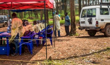 BM: KDC’deki saldırılarda Ebola mücadele ekibi üyeleri öldü
