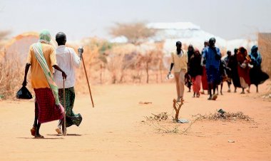 Afrika’nın 'tahıl ambarı' açlığa mahkum oldu