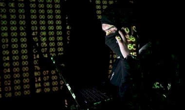 Florida'da donanma üssüne silahlı saldırı düzenlenen kente siber saldırı