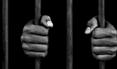 Tanzanya'da 5 binden fazla mahkuma af