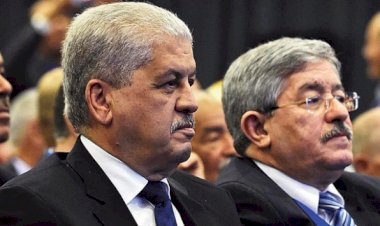 Cezayir'de eski başbakanlara hapis cezası
