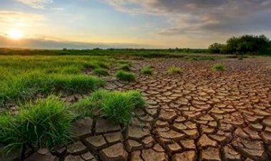 AB, iklim değişikliğiyle mücadele için yol haritasını açıkladı
