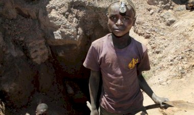 Teknoloji devlerine çocuk işçi davası