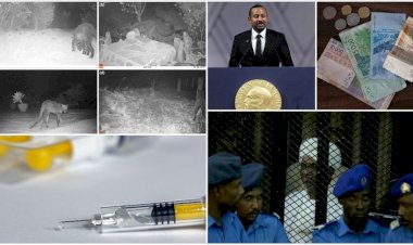 Afrika'da 2019 böyle geçti