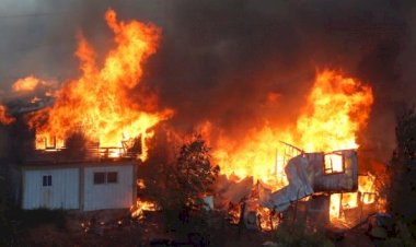 Şili'deki orman yangınlarında 200'den fazla ev kül oldu