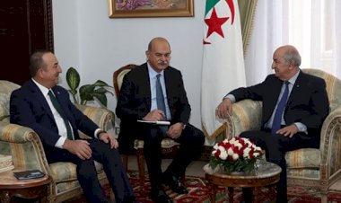 Bakan Çavuşoğlu Cezayir Cumhurbaşkanı ile görüştü
