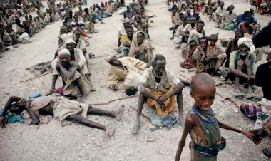 Etiyopya'da 7 milyon kişi, gıda yardımına muhtaç