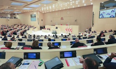 Gürcistan muhalefeti, ABD'li iki enstitünün faaliyetlerine yasak getirilmesini istedi