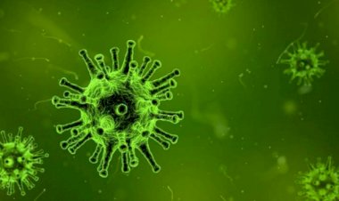 Koronavirüs'ten sonra yeni salgın alarmı