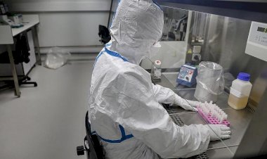 AB'den koronavirüs salgını araştırmalarına 10 milyon euro hibe