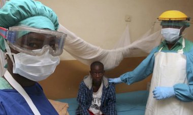 Nijerya'da 100 milyon kişi tropikal hastalık tehdidi altında