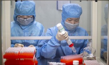 Tayland’da korona virüsü hastası iyileştirildi