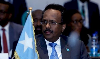 Somali'den tarihi özür