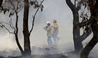 Avustralya’daki yangınlar aylar sonra kontrol altında