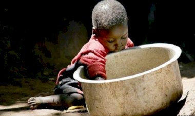 Namibya'da kuraklık nedeniyle 350 bin kişi açlık tehlikesiyle karşı karşıya