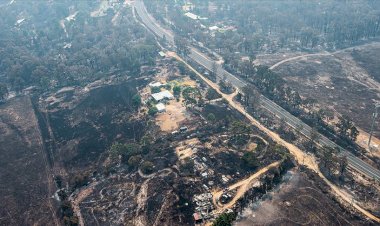 Avustralyalıların dörtte üçünden fazlası yangınlardan etkilendi