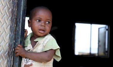 Nijerya çocukların refahı sıralamasında 180 ülke arasında 174'üncü sırada