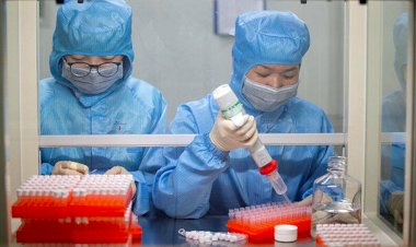 Çin: Aşıyı bulduk