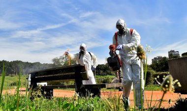 Koronavirüs salgını havaların ısınmasıyla sona erecek mi?