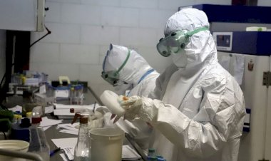 Belçikalı bilim insanları: Koronavirüsü etkisiz hale getirdik