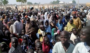 Nijerya'da 4 yılda 42 bin kişi yerinden edildi