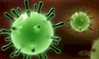 Rus bilim insanları koronavirüsün gen haritasını çıkardı