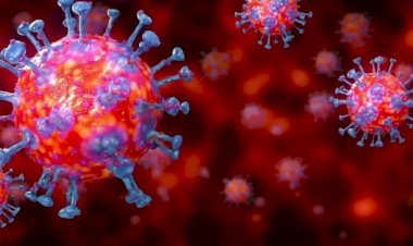 Koronavirüs salgını: Bir kişi, virüse iki kez yakalanabilir mi?