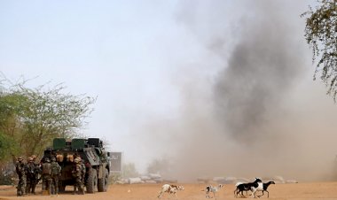 Mali'de karakol baskını: 29 asker öldü