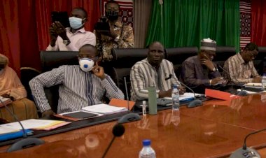 Burkina Fasolu dört bakanda virüs tespit edildi