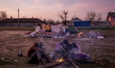 BM Özel Raportörü'nden Yunanistan'a 'sığınmacılara yönelik şiddete son ver' çağrısı