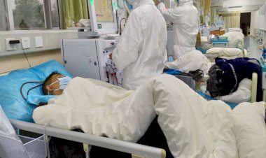 Hollanda'da vakası 5 bin 560'a, ölü sayısı 276'ya yükseldi