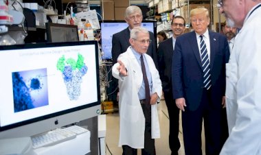 Dr. Anthony Fauci: ABD'de 100 binden fazla ölüm yaşanabilir