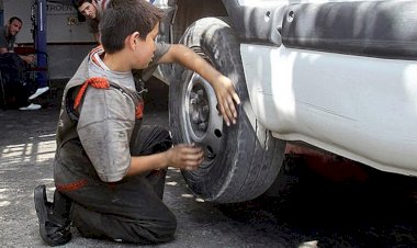 TÜİK: Türkiye'de 720 bin çocuk işçi var