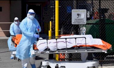 New York'ta Kovid-19 salgınında 731 ölümle en yüksek can kaybı yaşandı