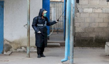 Filistin'de Kovid-19 vaka sayısı 217'ye yükseldi