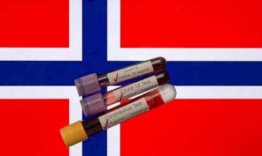 Norveç Sağlık Bakanı Höie: Koronavirüs salgınında kontrolü sağladık