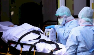 Hollanda'da koronavirüsten ölenlerin sayısı 2 bini geçti