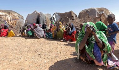 BM: Mali'de 5 milyon kişi gıda sıkıntısı yaşayacak