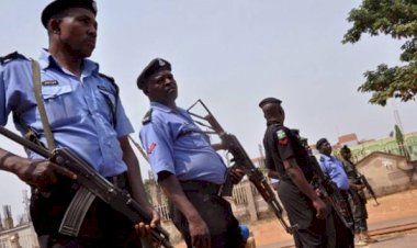 Boko Haram militanlarına yönelik operasyon