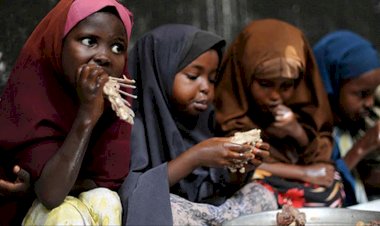 Zimbabve'de 500 bin kişi ciddi açlık çekiyor