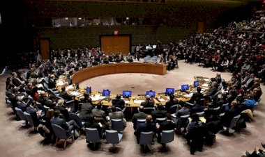 BM Güvenlik Konseyi, ilk kez koronavirüsü görüştü