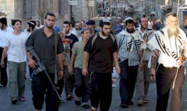 İsrailli insan hakları örgütü: İsrail hükümeti Yahudi teröristleri koruyor