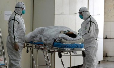 Hollanda'da ve  Belçika'da 85 Türkiyeli Covid-19'dan vefat etti