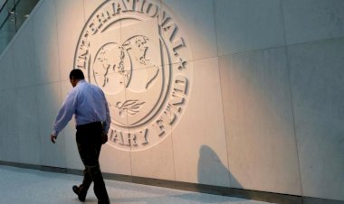 Dünyanın yarısı IMF'den yardım istedi